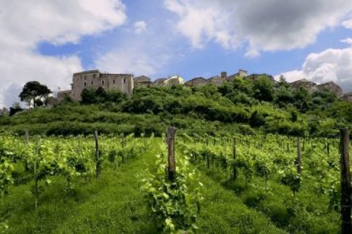 Campania Excellence Experience