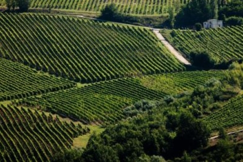 Feudi San Gregorio Experience
