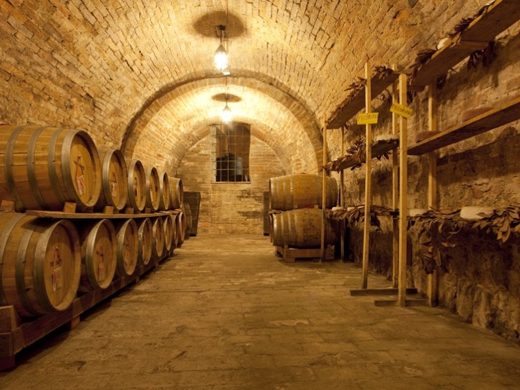 Wine Experience in Tuscany